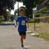 Falunap 2017